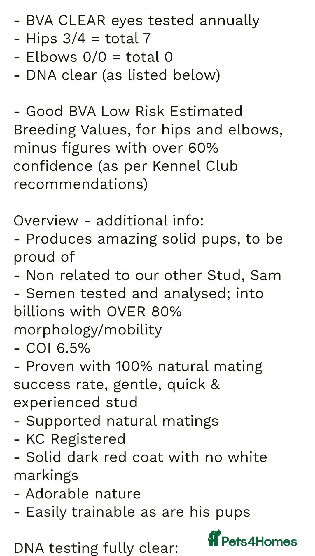 Labrador Retriever dogs for sale: Beautiful Yellow & Fox Red Labrador puppies. - Advert 5