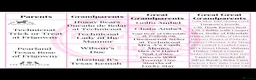 Labrador Retriever dogs for sale: 🩶🩶 SILVER LABRADOR GIRLS 🩶🩶 - Advert 9