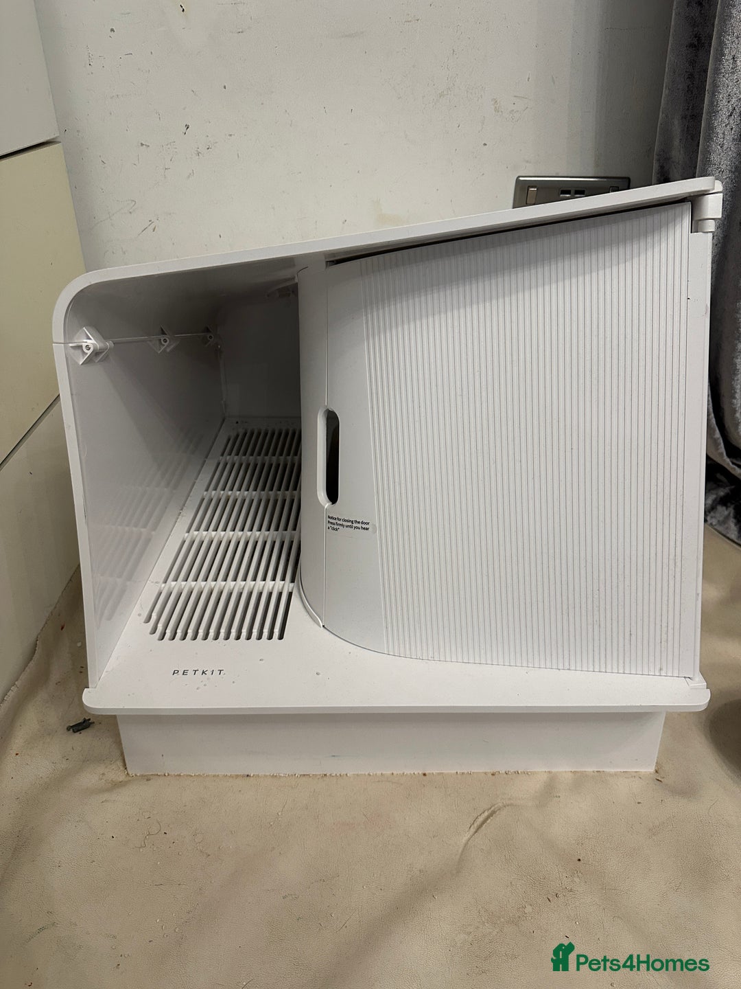 Mixed Breed cats for sale: Torbie Arabian Mau X BSH - Advert 5