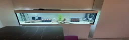 Plecos fish for sale: Juwel Rio 240L full tank set up with rare plecos - Advert 1