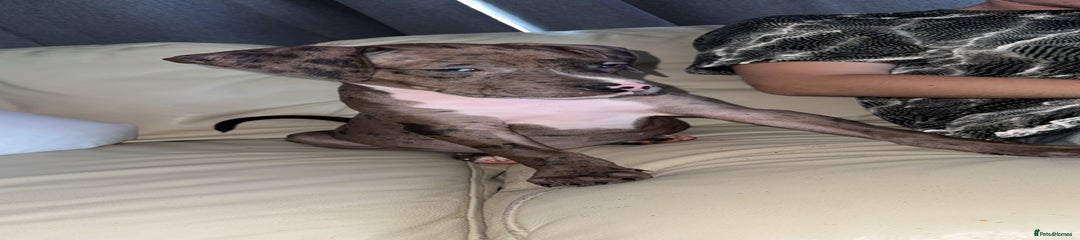 Female 1 