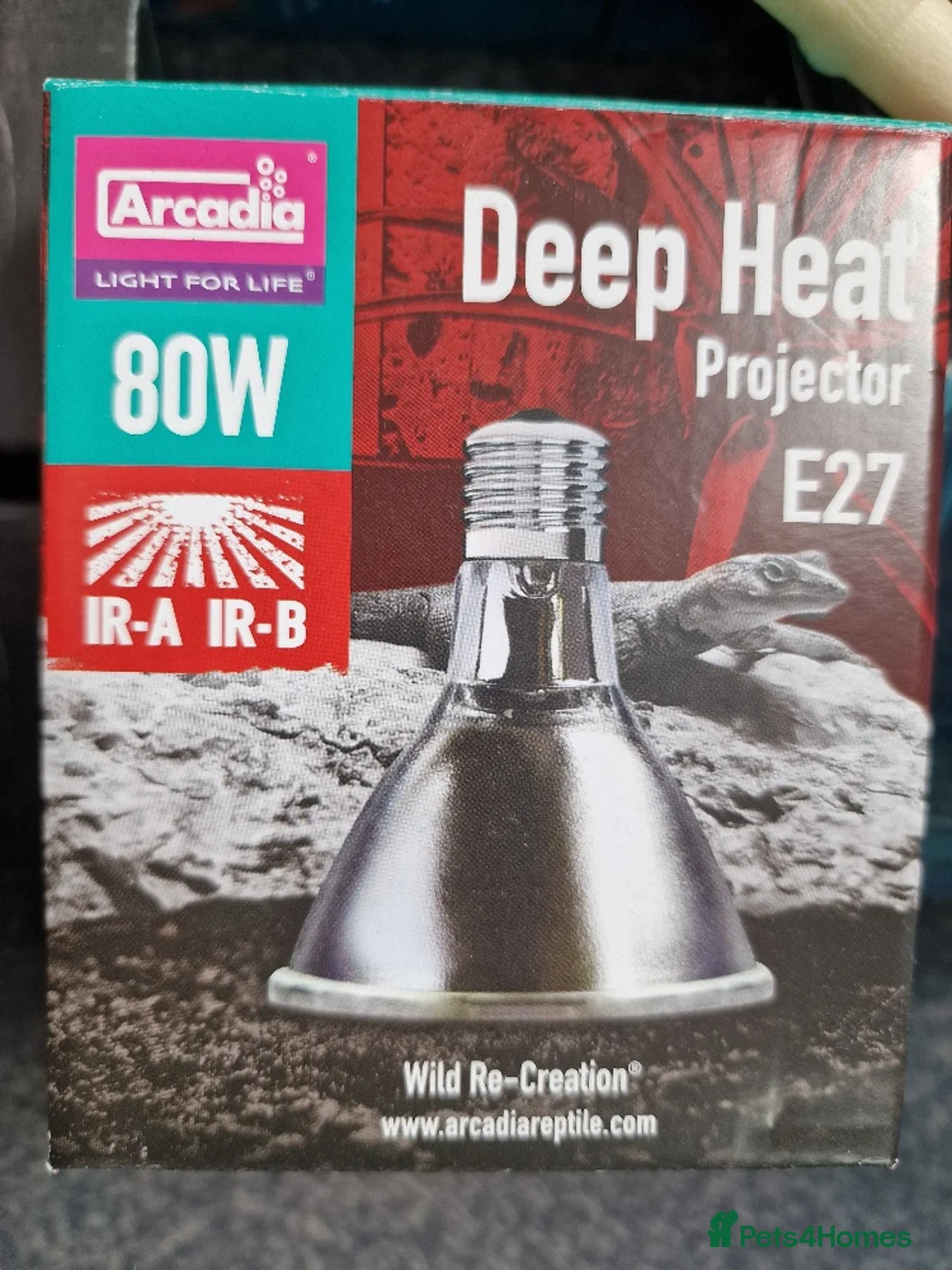 Python Snake reptiles for sale: Gorgeous Pied Male Royal Python with full set up - Advert 15