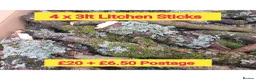 Millipedes invertebrates for sale: Pick & Mix see Photos  - Advert 2