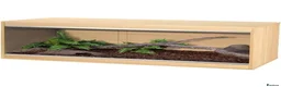 Python Snake reptiles for sale: 2 royal pythons & Viv  - Advert 2