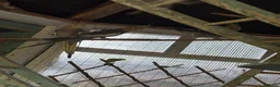 Cockatiels birds for sale: Baby cockatiels/breeding pair and finches - Advert 4