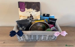 Mixed Breed dogs for sale: 👑 Superb Rare Health Tested Cockadoodledoo Pups - Image 14