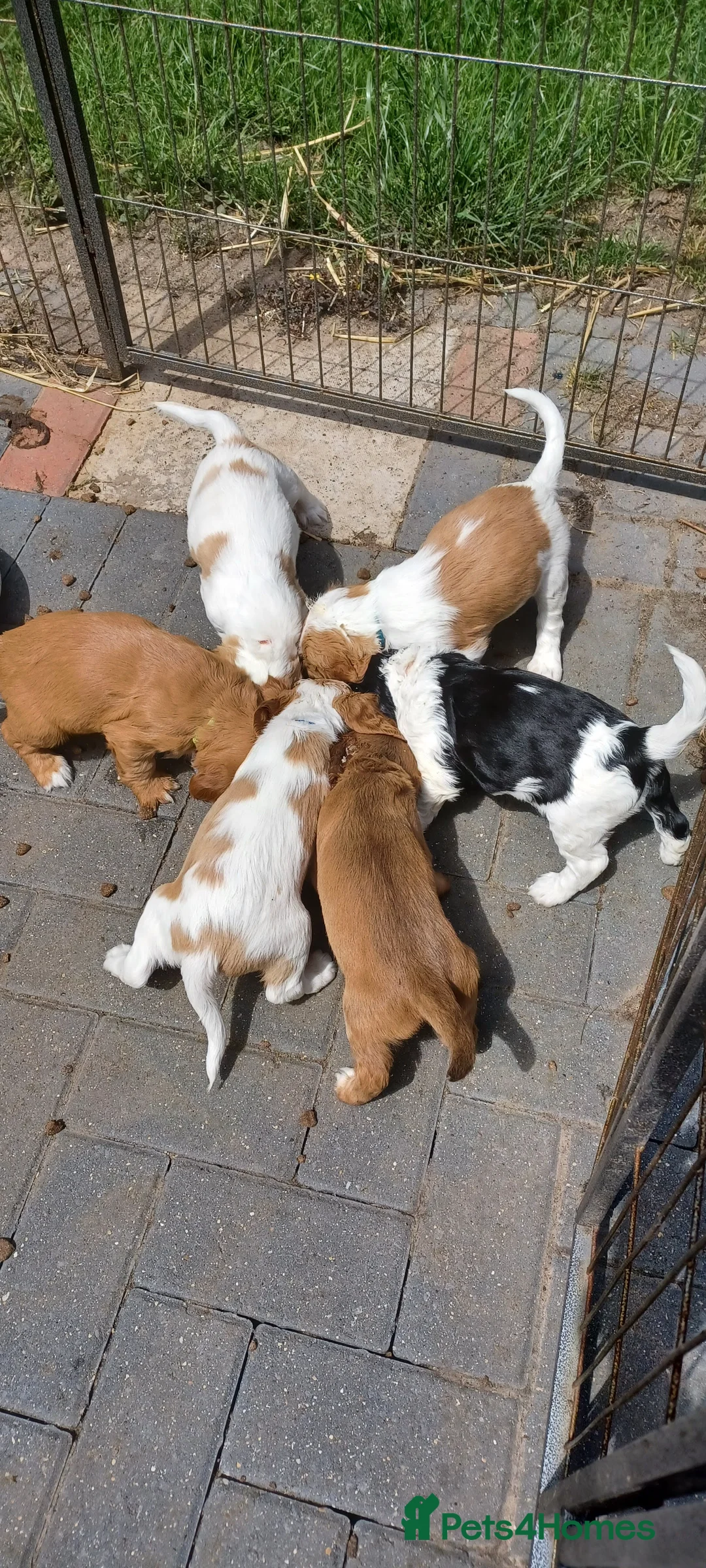 Gallery Image {{count}}