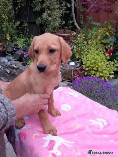 Gallery Image {{count}}