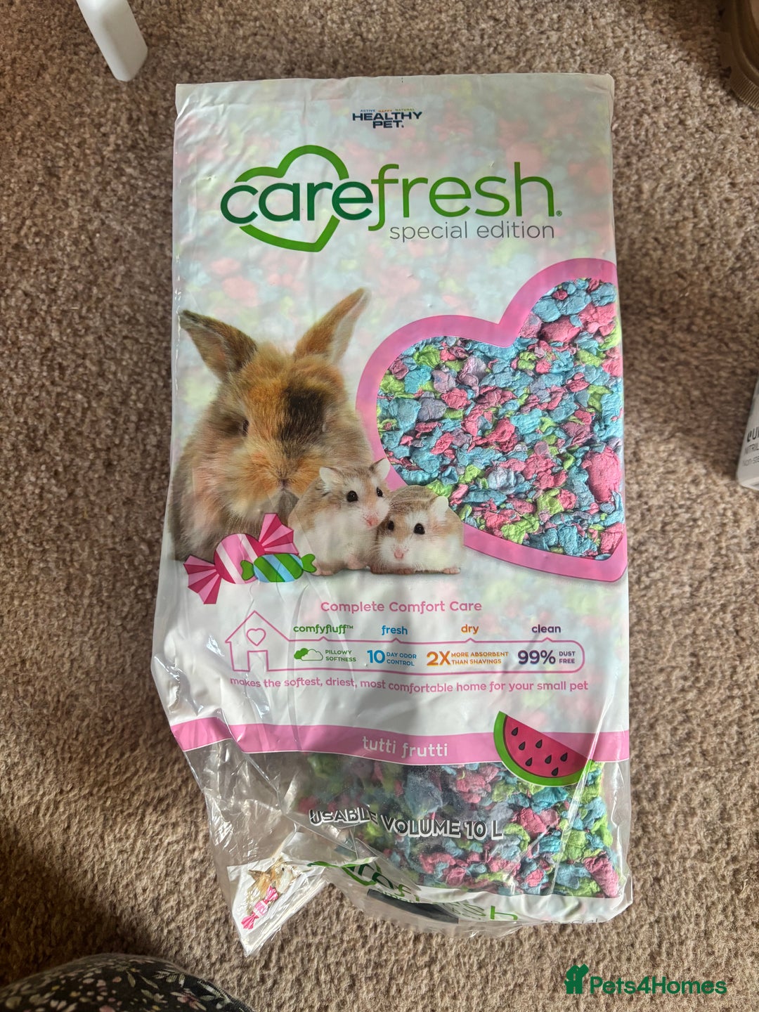 Hamster rodents for sale: Friendly dwarf hamster - 12 weeks old  - Image 6