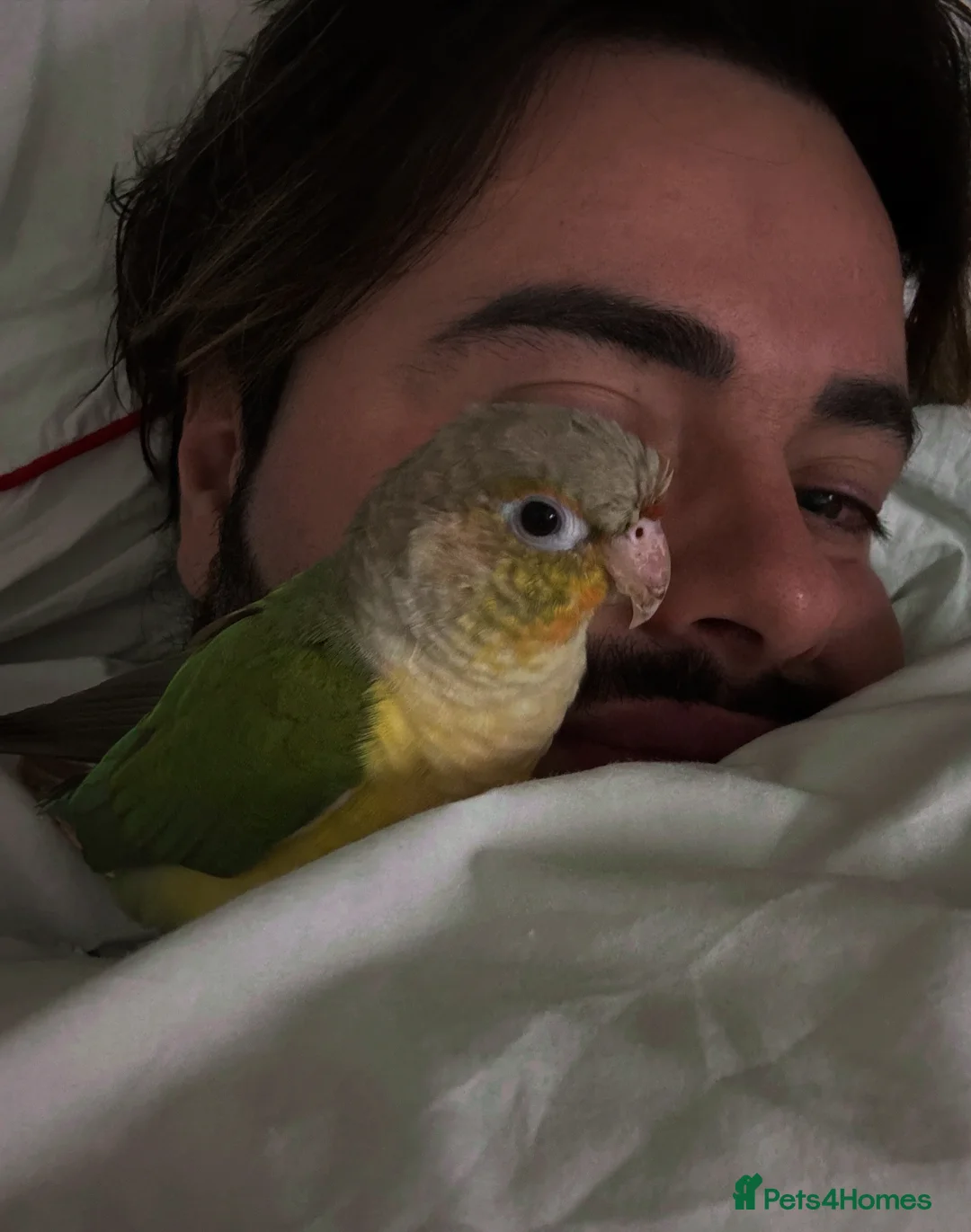 Gallery Image {{count}}