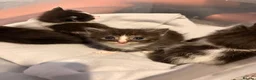 Perdoll cats for sale: 5 little baby’s  - Advert 6