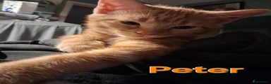 Peter