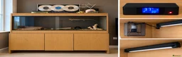 Bearded Dragon reptiles for sale: Bearded dragon free with the vivarium all included in Aberdeen - Advert 6
