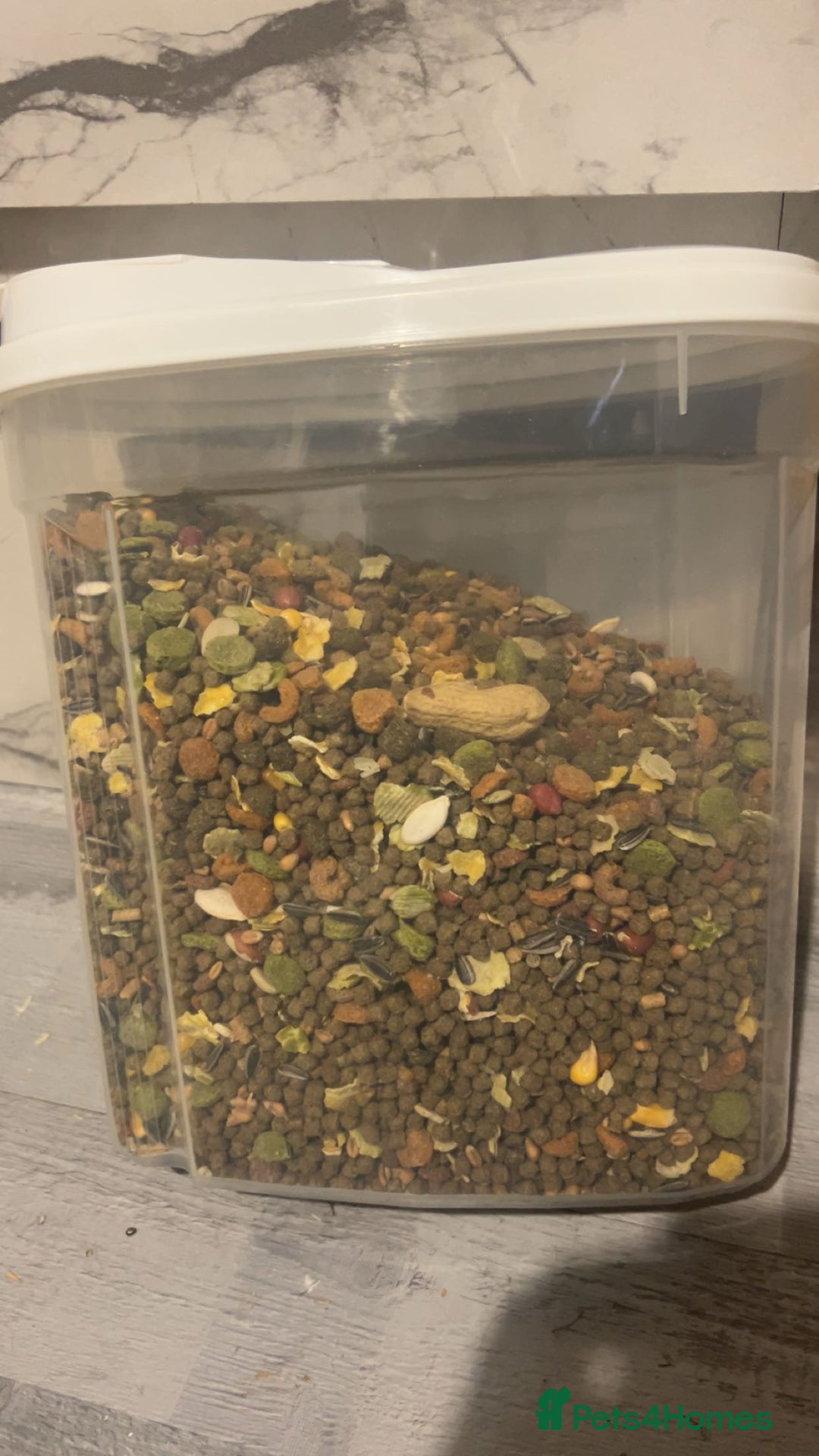 Hamster rodents for sale: CAGE ONLY NO HAMSTER  - Image 7