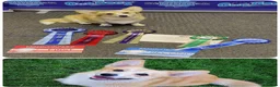Welsh Corgi Pembroke dogs for sale: Pembroke Corgi Puppies - Ready Now - Advert 14