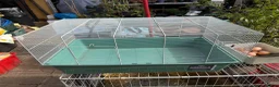 Mouse rodents for sale: Pets at Home Habitat 2 Spacious Small Animal Cage - Advert 1