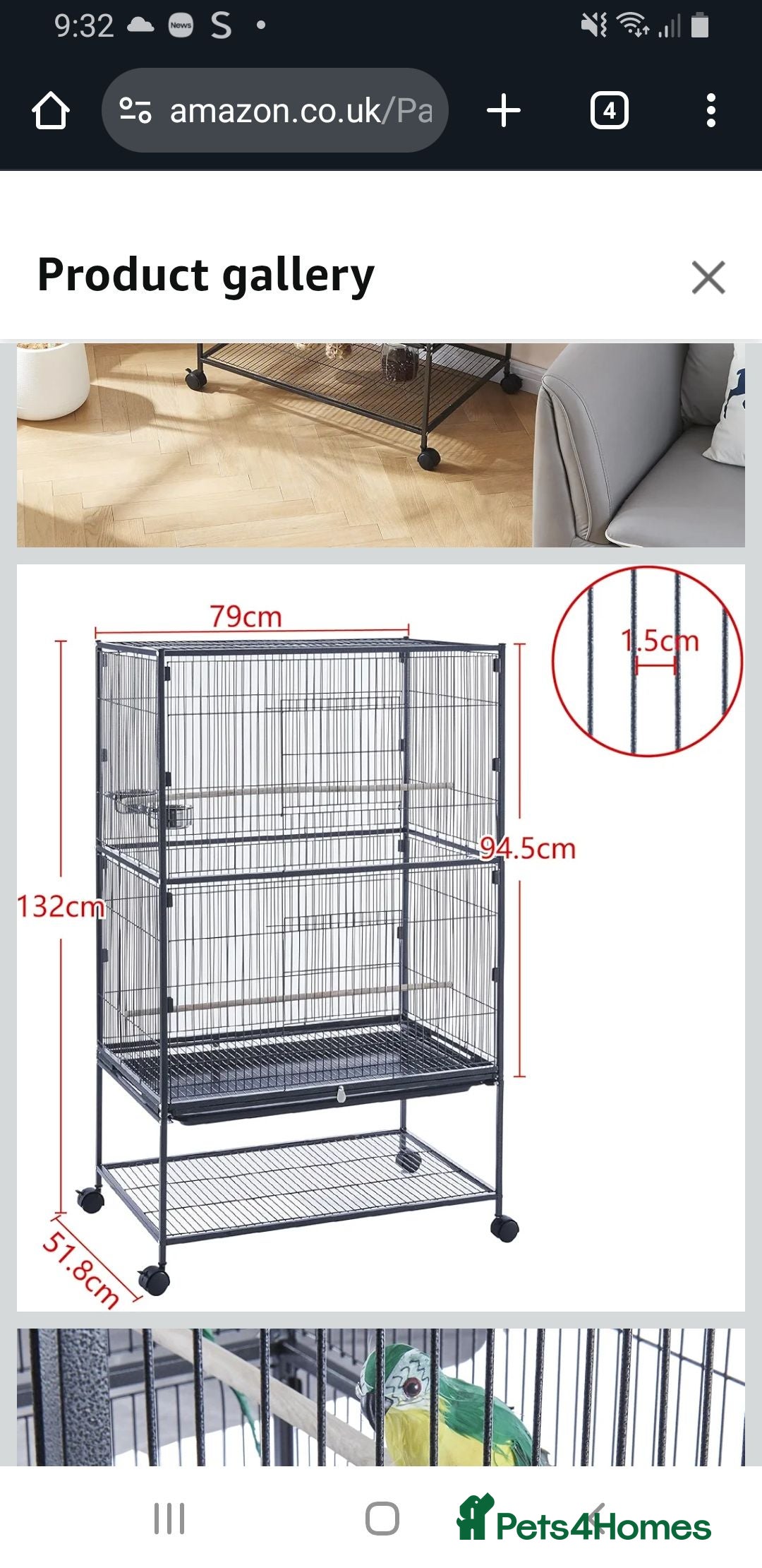Budgerigars birds for sale: 2 Budgies and Cage - Advert 10