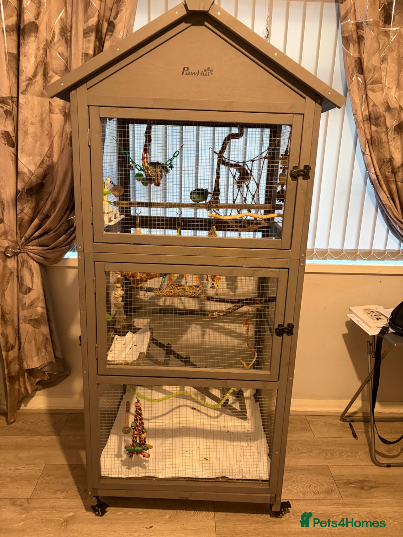 Parakeets birds Parakeet for sale and cage - Advert 7