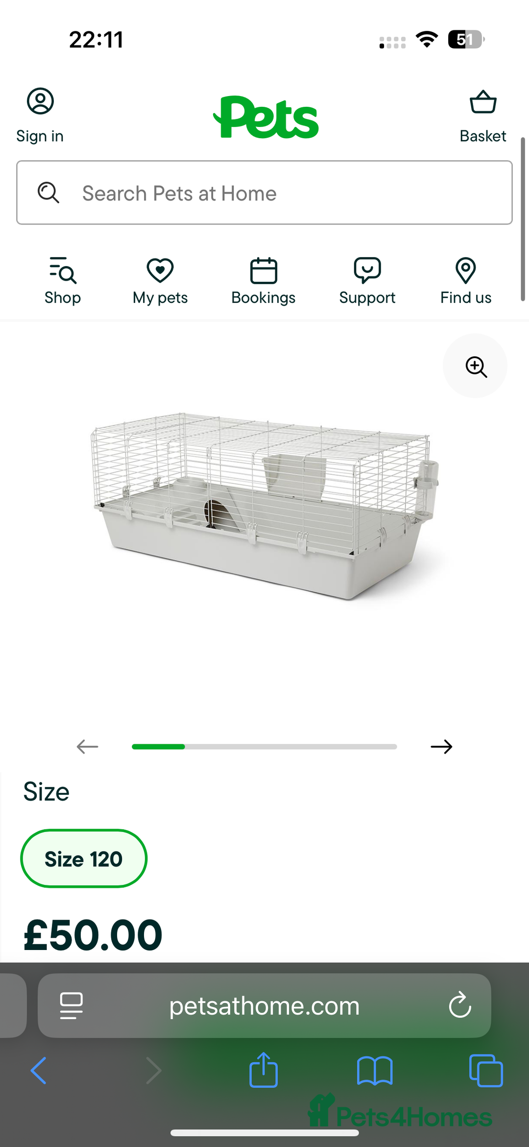 Guinea Pig rodents for sale: Milkshake and Mars looking for a loving home - Image 6