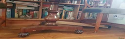 Bengal cats for sale: Stunning Bengal kittens for sale - Advert 15