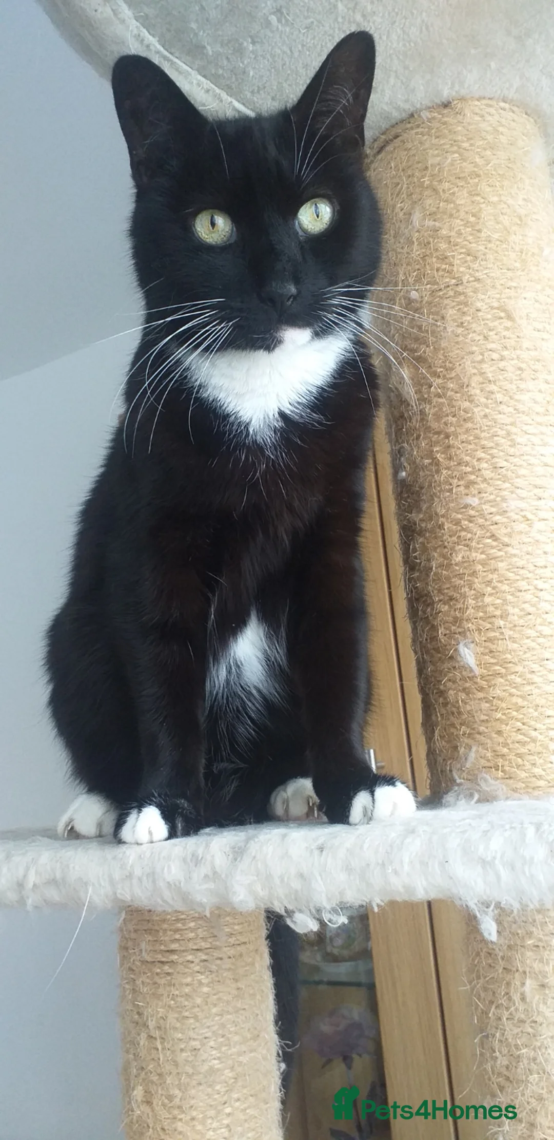 Gallery Image {{count}}