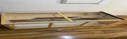 Guinea Pig rodents for sale: hamster/ small animals 3-tier cage  - Advert 10
