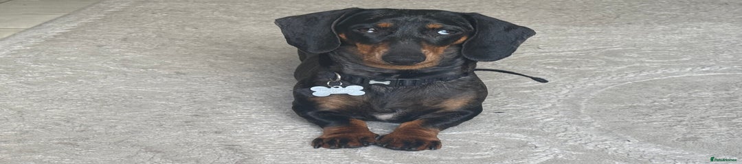 Winnie