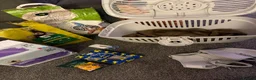 Ferret rodents for sale: Ferret Starter Pack – 2 Ferrets + Full Setup – £70 in Lincoln - Advert 5