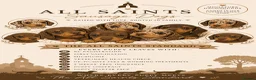 Miniature Dachshund dogs for sale: ⭐ Full Pedigree KC Registered Miniature Daschunds - Advert 3