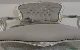 British Shorthair cats for sale: British blue shorthaired male & female kitten - Image 15