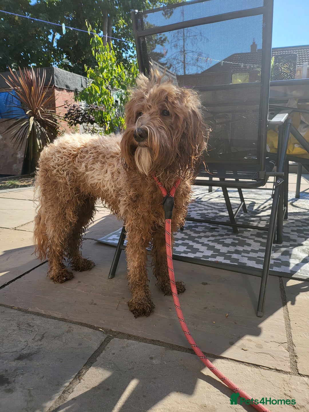 Gallery Image {{count}}