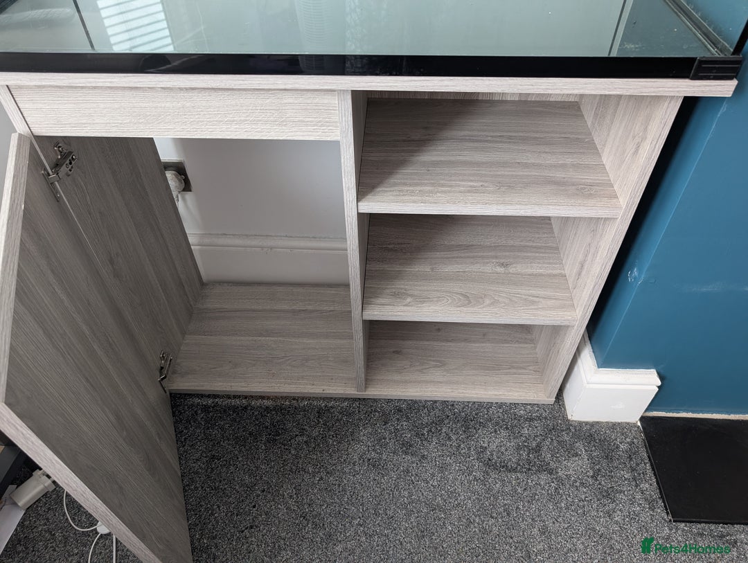 Other/Mixed Breed fish for sale: Fish Tank with Stand and Fluval 207 filter - Image 4