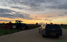 Python Snake reptiles for sale: Albino Royal python and full vivarium setup  - Advert 7