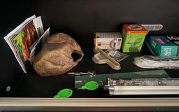 Mixed Breed reptiles for sale: Medium vivexotic vivarium & equipment. - Image 4