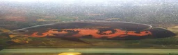 Other/Mixed Breed fish for sale: Peacock Bass, Chilli red Tiger Oscars & Bush fish  - Advert 4