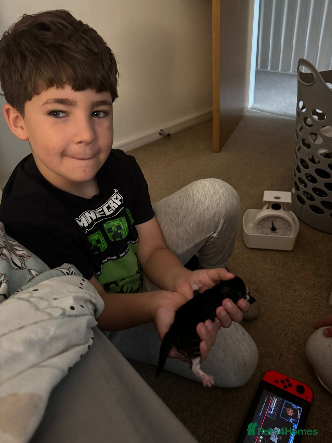 Gallery Image {{count}}