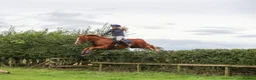 Welsh Section D horses for sale: 14.3/15hh allrounder gelding  in Rowlands Gill - Advert 26