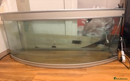 Turtle reptiles for sale: 2 mississippi map turtles and tank - Image 6
