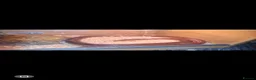 Corn Snake reptiles for sale: 2 female egg laying corn snakes  in Maidstone - Advert 1