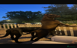 Bandog dogs for sale: 🐾 🌟 Premium multigen Bandogge Puppies🌟🐾 - Image 24