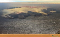 Cocker Spaniel dogs for sale: Cocker Spaniel Puppies *For Sale* - Image 10