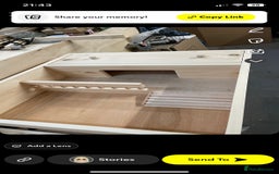 Tortoise reptiles for sale: Baby Horsefeild Tortoises  - Advert 7