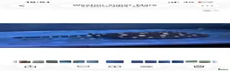 Other/Mixed Breed fish for sale: Fresh water stingray pair  in Weston-super-Mare - Advert 7