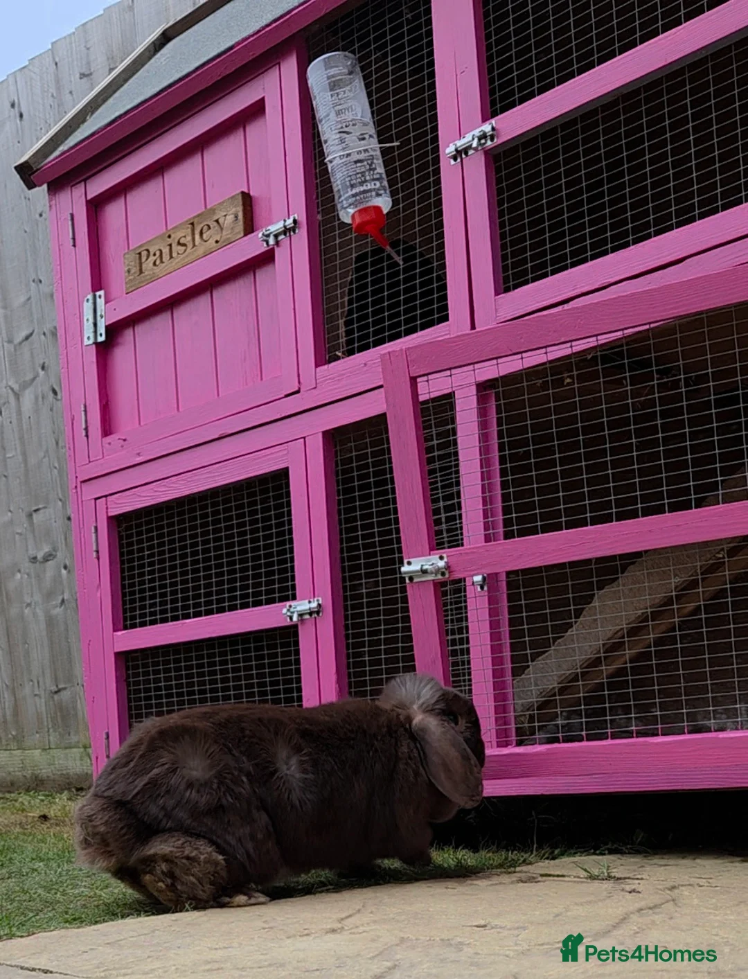 Gallery Image {{count}}