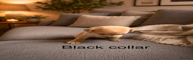 Boy black