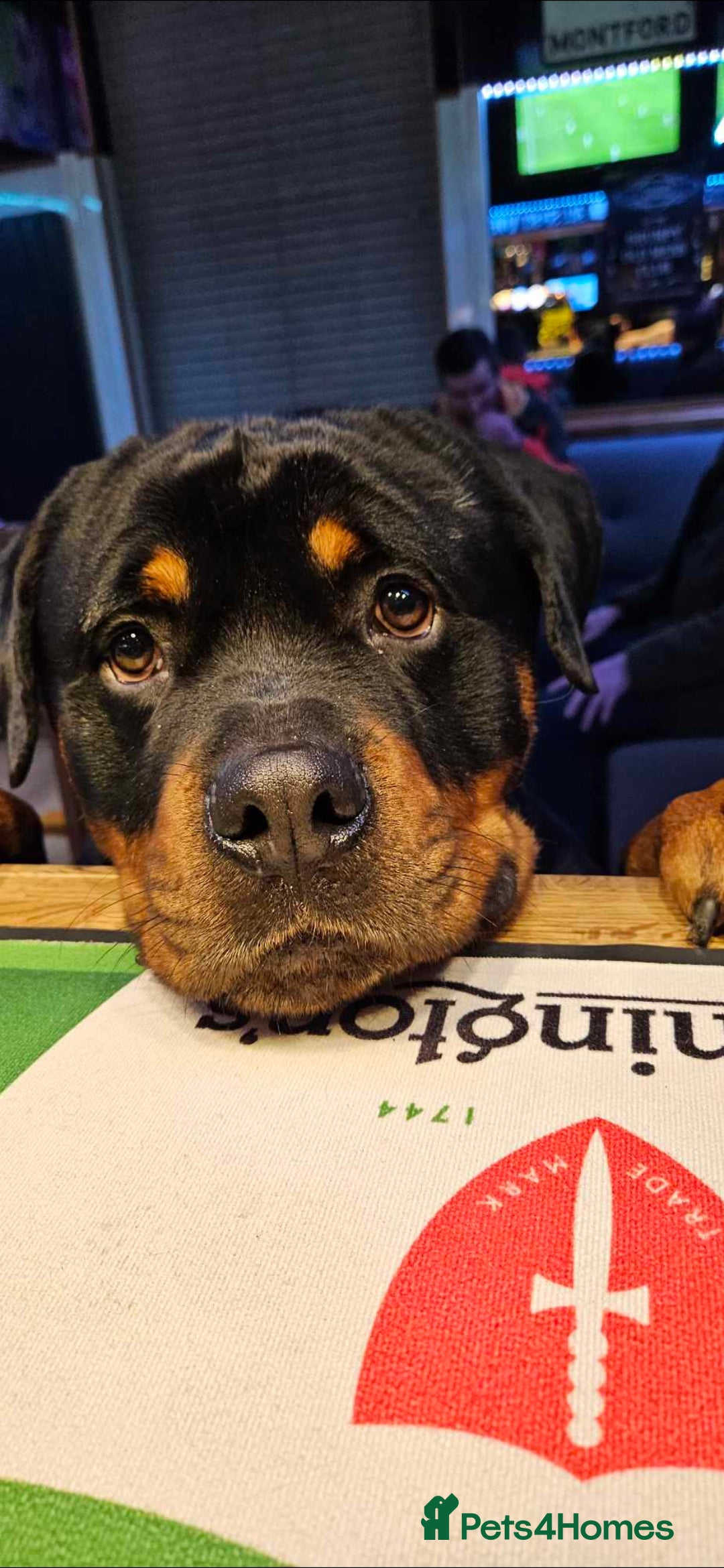 Roscoe