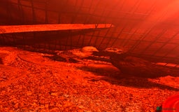 Chickens poultry for sale: 2 Aseel chicks and 2 Easteregger cockerel for sale - Advert 6