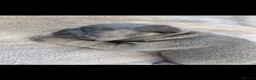 French Bulldog dogs for sale: ❤️ Beautiful 5 generation pedigree puppies - Advert 3