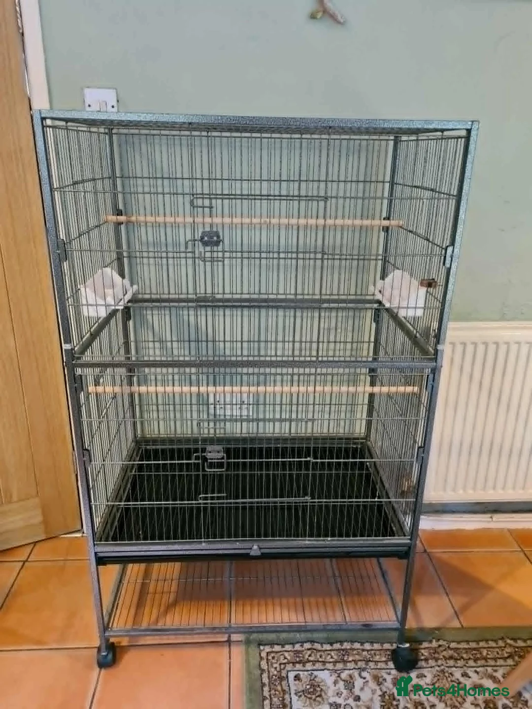 Budgerigars birds for sale: Budgies & Cages - Advert 5