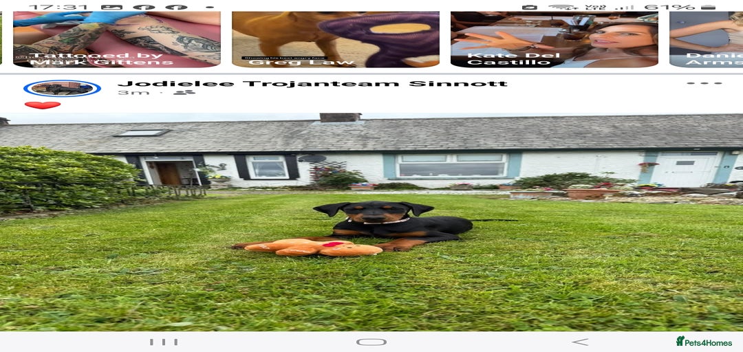 Gallery Image {{count}}